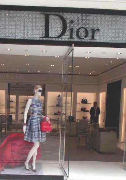 dior Project Work